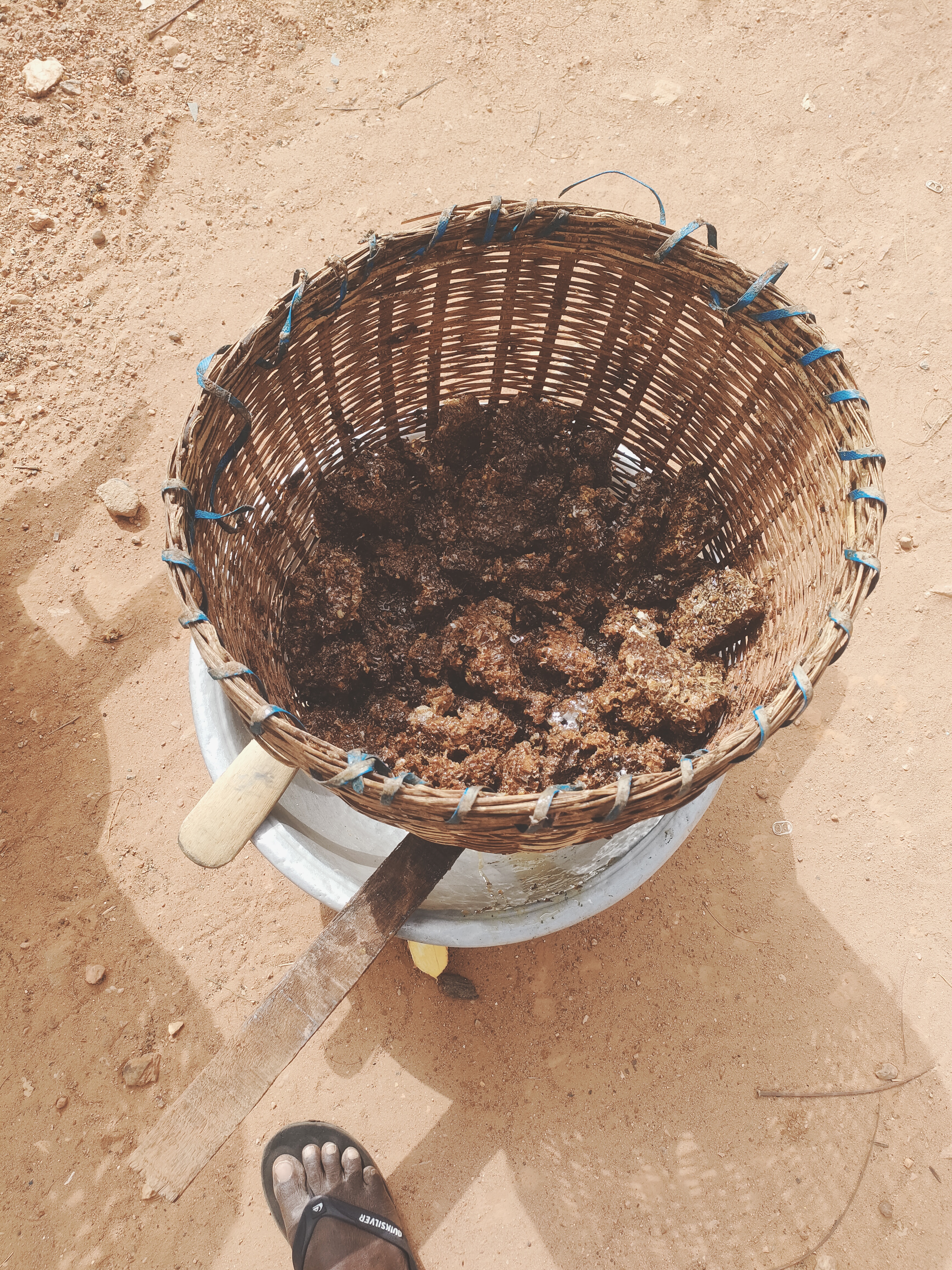 Le Miel 🍯 Authentique